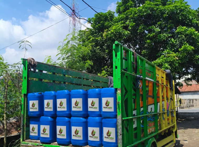 Armada truk pengiriman molase tetes tebu